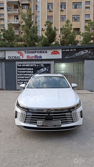 Byd Chazor full 1200
