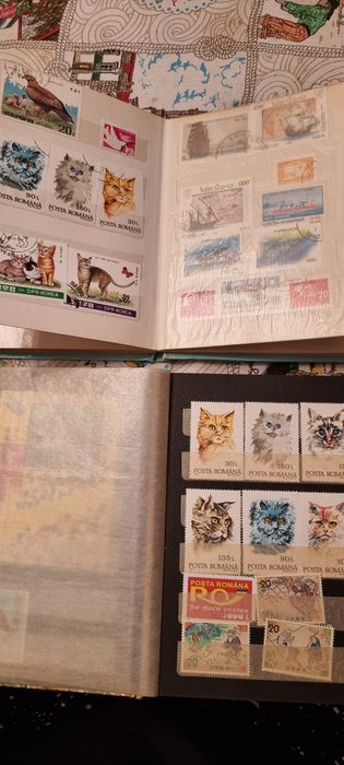Clasor timbre 2 buc