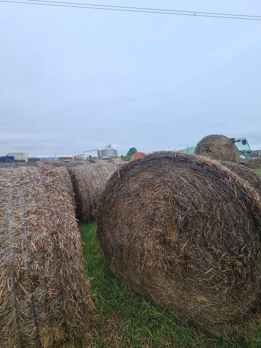 Vand baloti paie ORZ