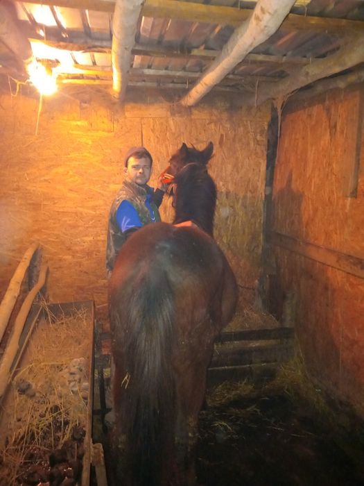 Vand manz pe 8 acum ln martie face un an