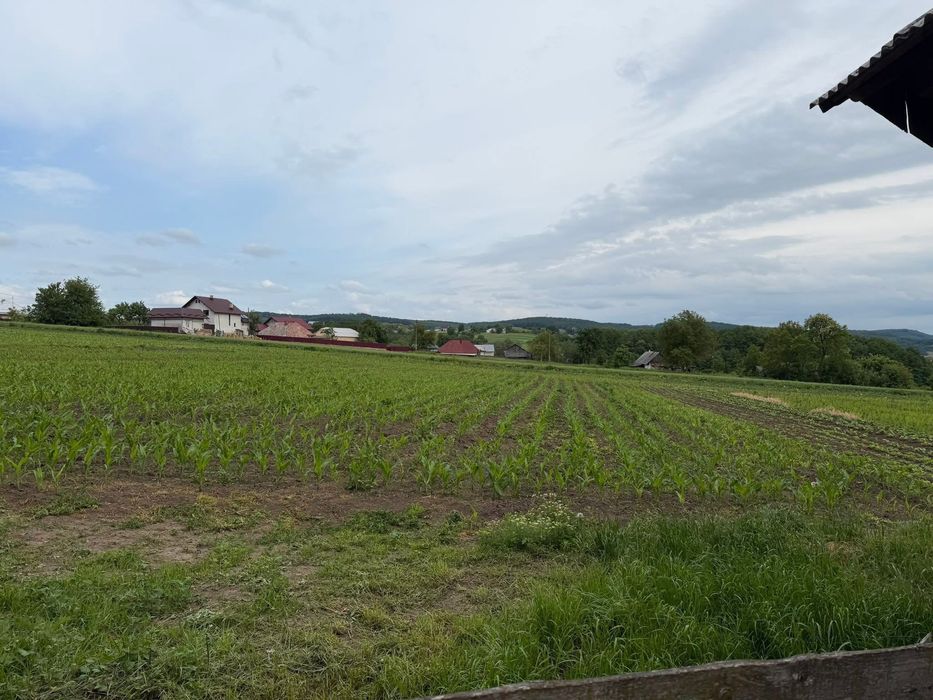 Vând loc de casă.