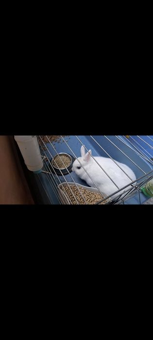 Здравейте женско на 10 м