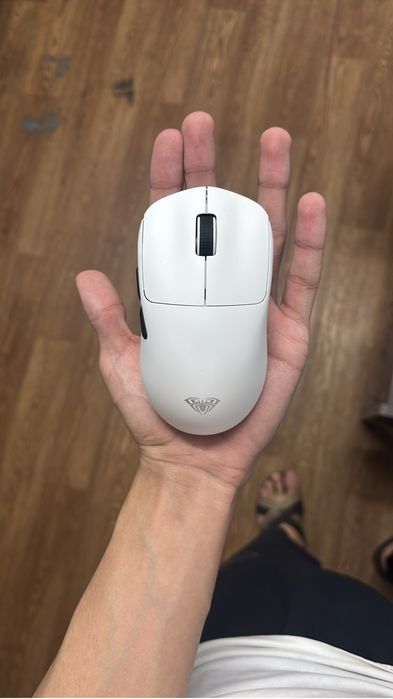 Продам мышь аула