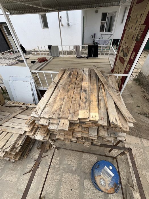 Поддон агашы