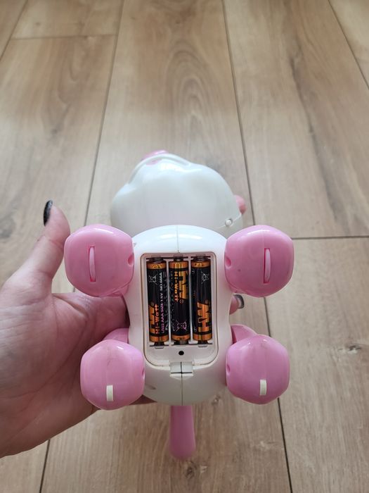 Интерактивно коте