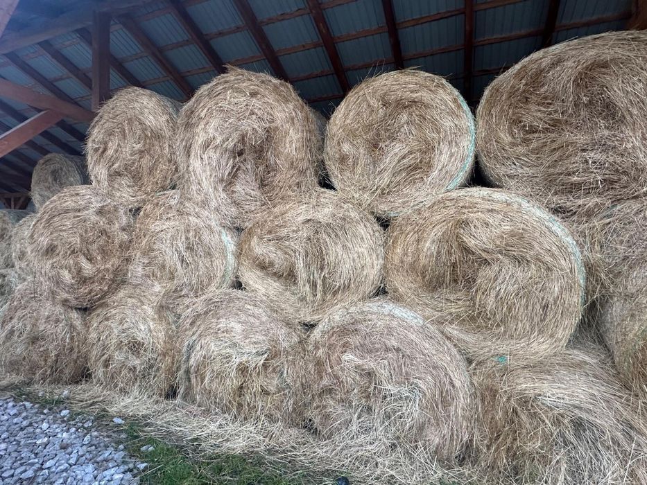 Baloti de fan/balot rotund