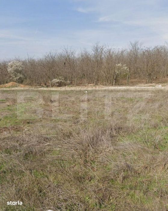 Teren intravilan, 1293 mp, zona Damila