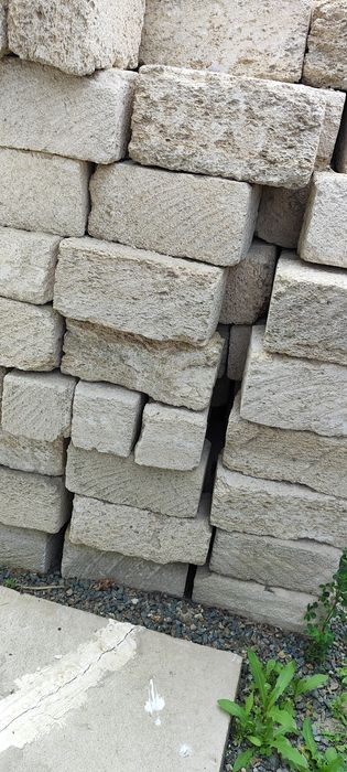 Продам Ракушка блок