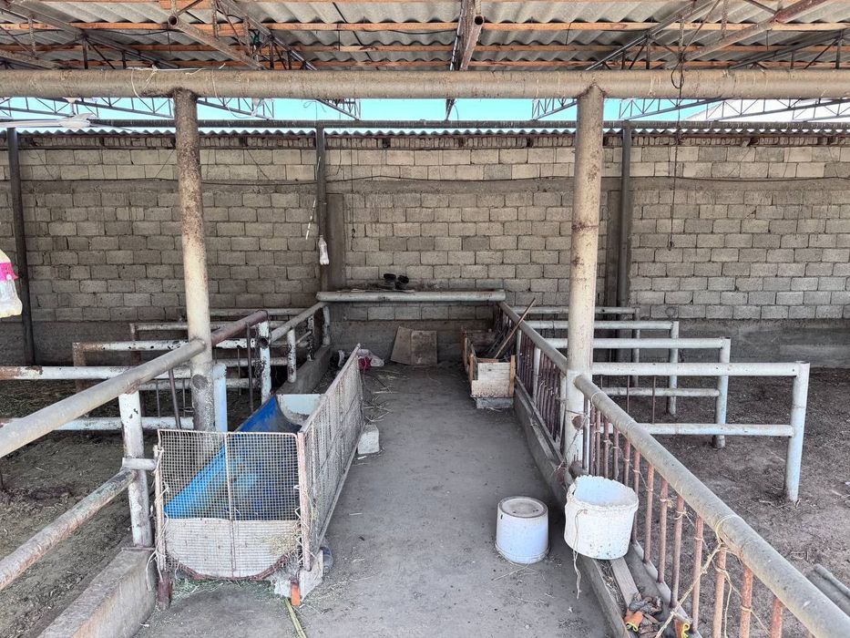 Тайёр бизнес , хамма шароитларга эгамолхона сотилади,