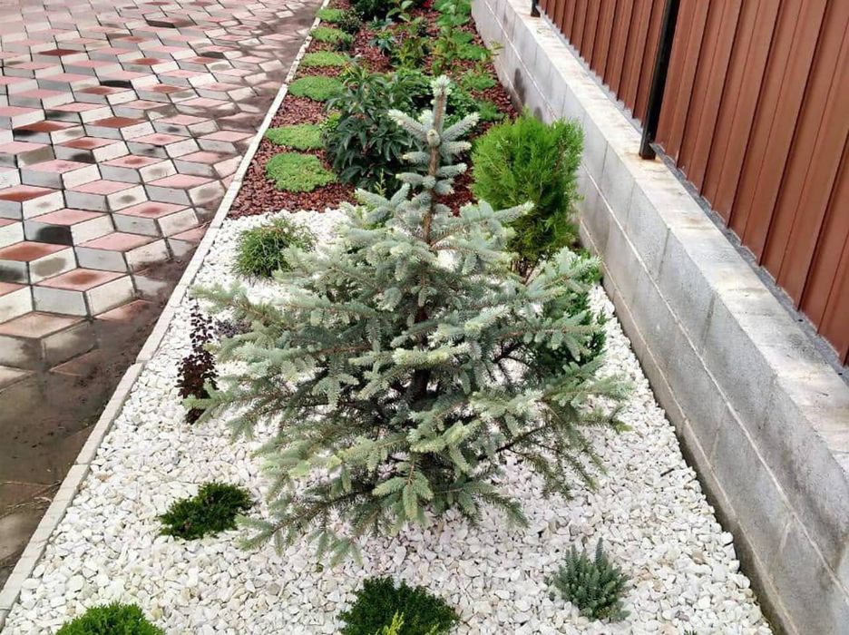 Камни белые декоративные для сада