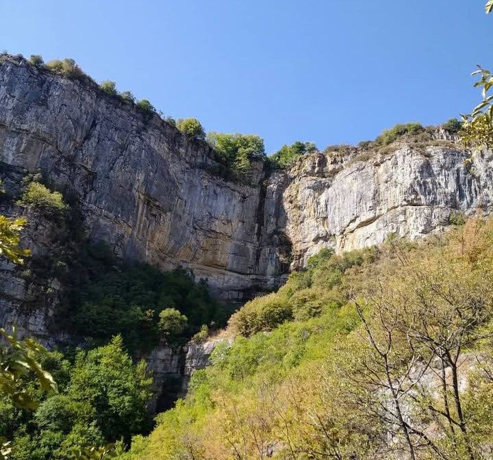 Продава се Парцел в с. Заселе, Област София-област - 486 кв.м за 17 €/кв.м - Снимка #1