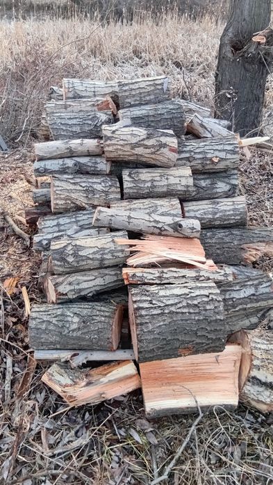 Дрова, верба,  карагач ,джигида.