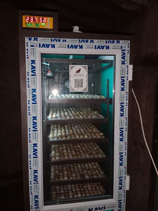 Инкуватор сатылады