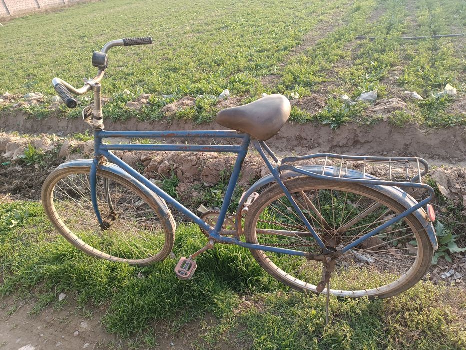 Velik sotiladi razmeri 28