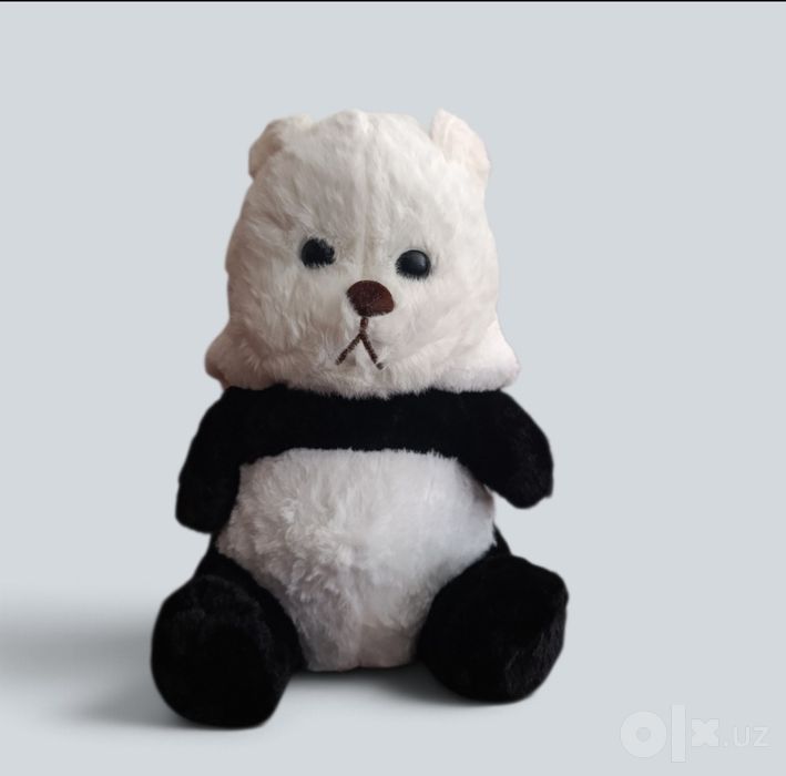 Teddy (yumshoq oʻyinchoq)