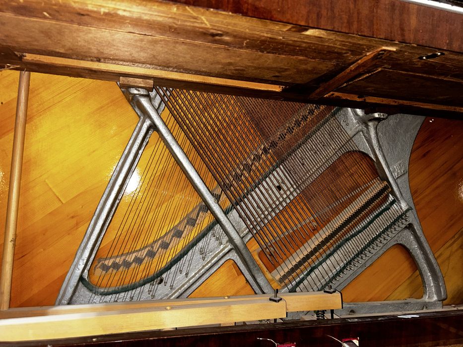 Пианино ласточка