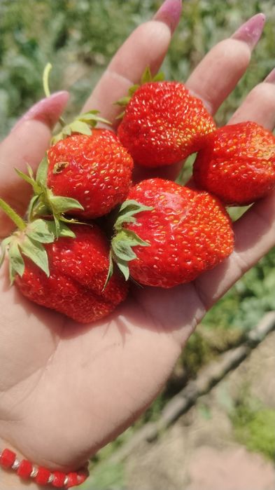 Продам дачу Жилгородок