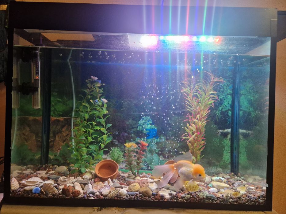 Продаётся Аквариум 65лт