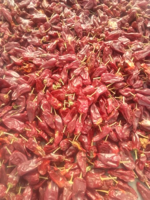 Сладък червен пипер