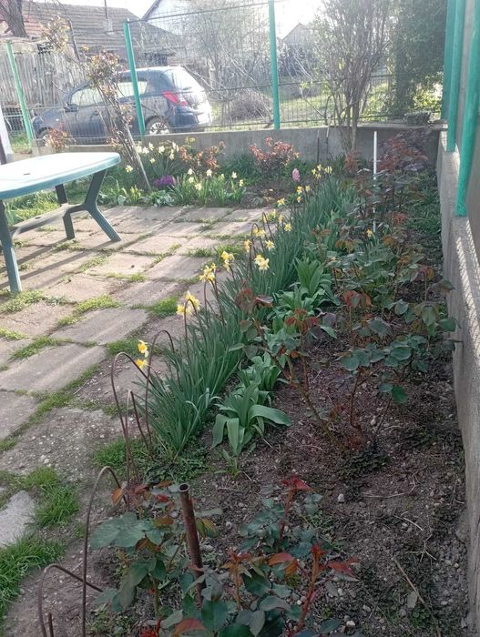 Casa de vânzare Plaiul Vulcănești, 4 camere, preț negociabil