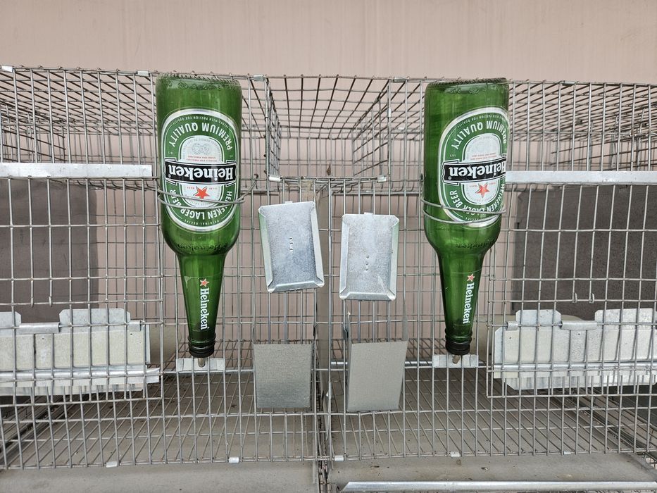 Cusca  pentru iepuri