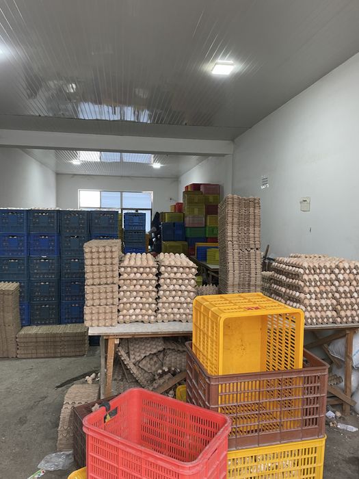 1200 kv.m tijorat binosi — Yangi bozor ro‘parasida