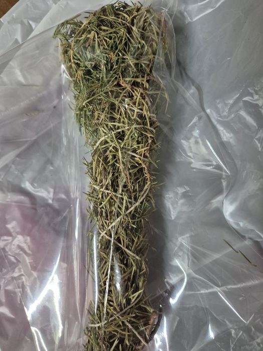 Продам Арша  ( можжевелник)