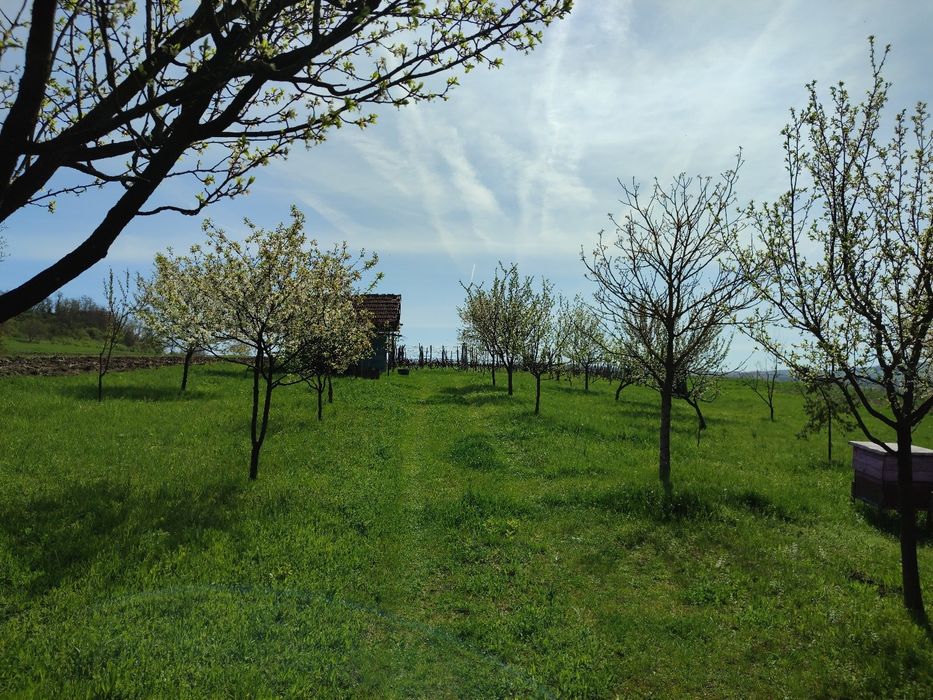 Téren intravilan de vanzare