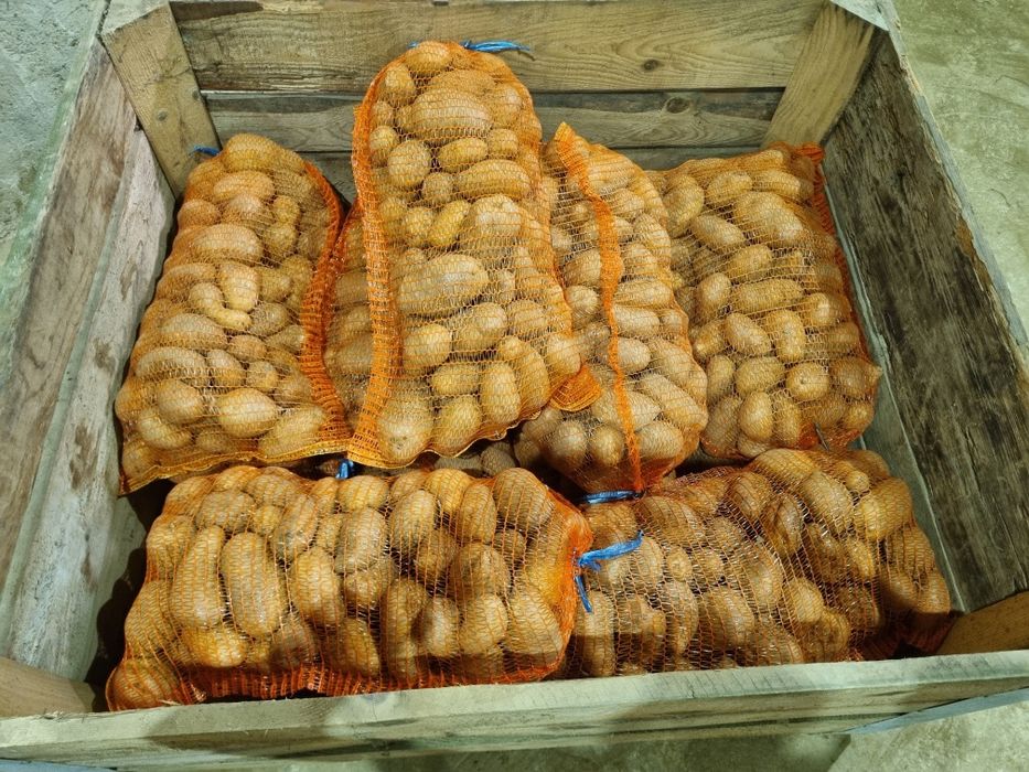 Cartof consum alb ultra Ro