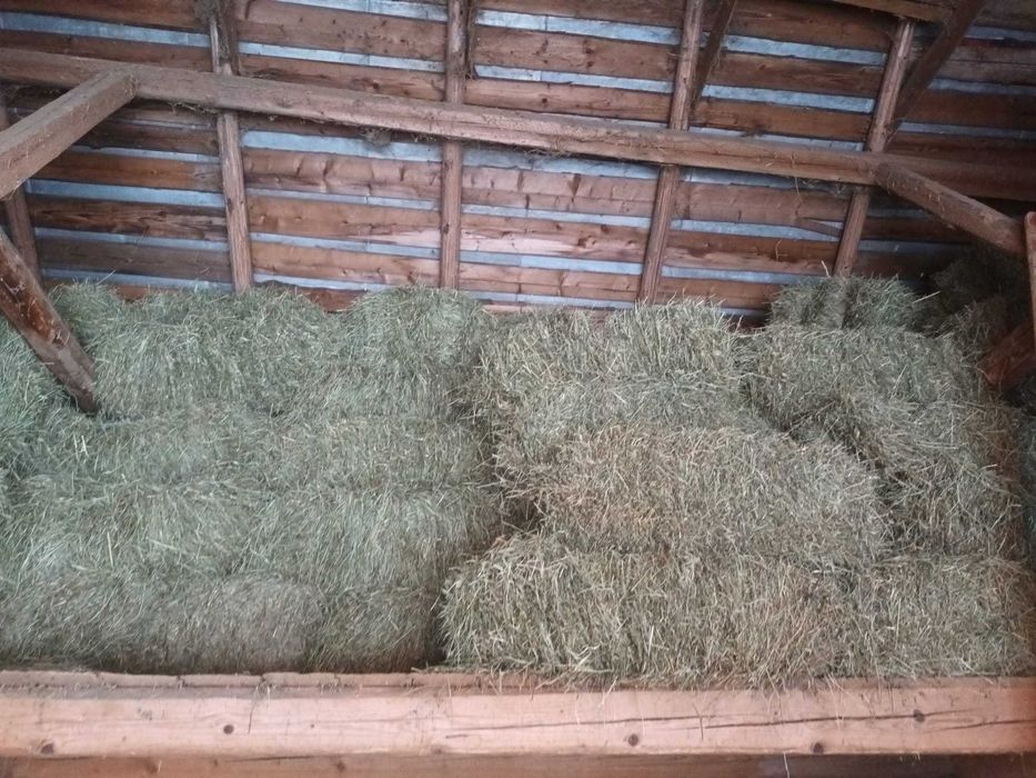 Baloti din otava si fan