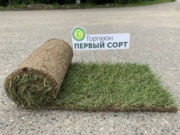 Рулонный газон оптом в большом объеме