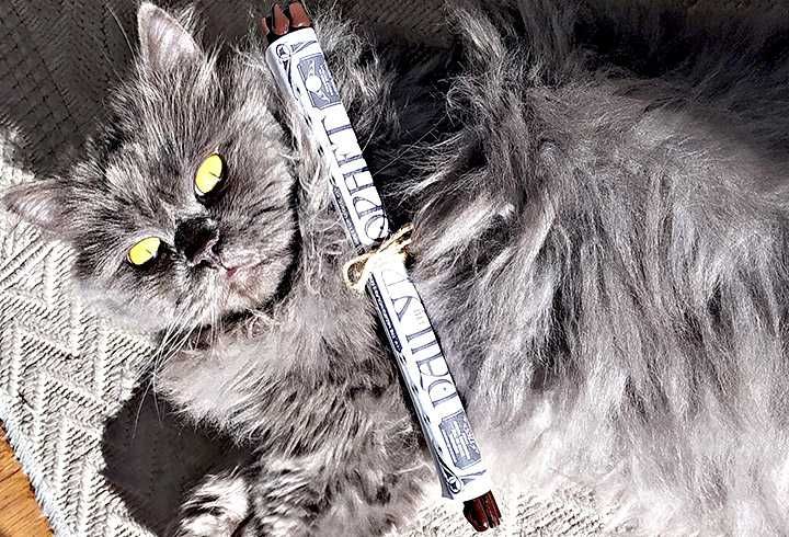 Хари Потър Пръчки + Крафт Кутия (Комплект от 6 Броя)