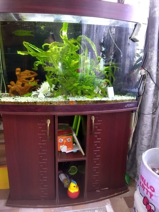 Аквариум с тумбой