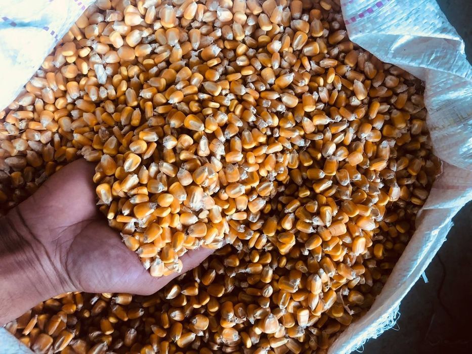 Erkaklar yalangoch jinsiy olatni yalangoch ayollar fotosurati