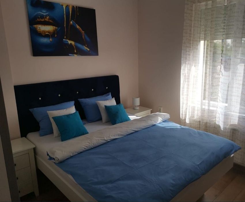 Apartament  - zona Medicinei