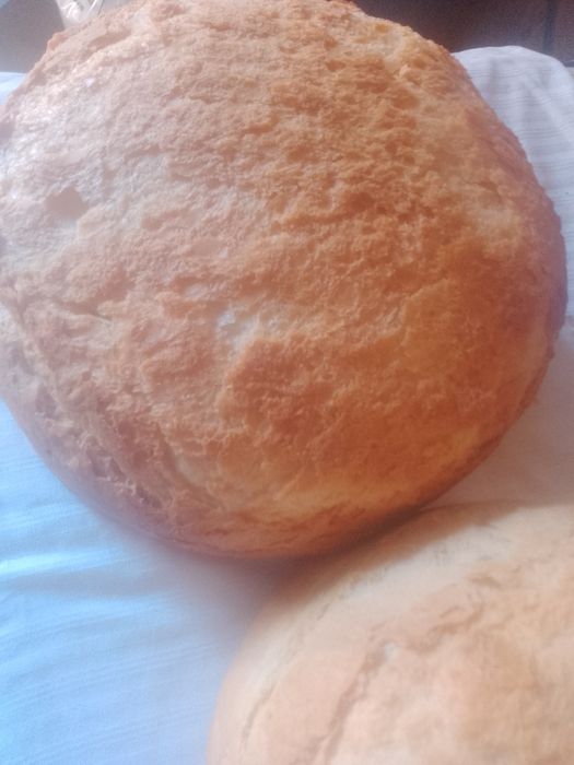 Pâine de casă  (cuptor pe lemne/