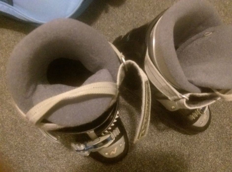 Clapari Nordica mar. 38