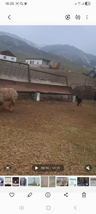 Фазенда сатылады