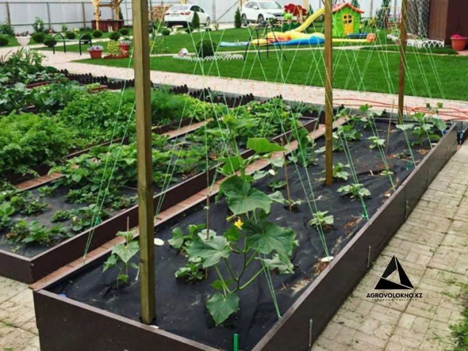 Агроволокно (60ка, черный)