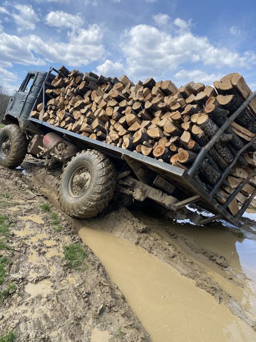 Дърва за огрев и дървен материал