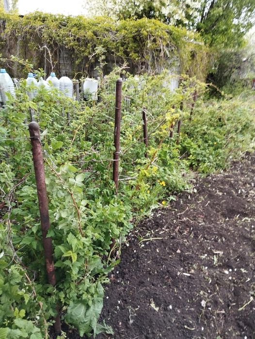 Продам Дачу с/о Ракета