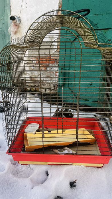 Продам большую клетку