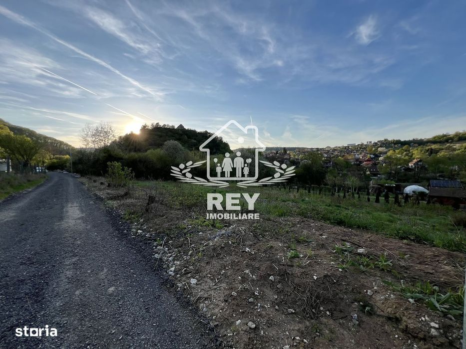 Teren la poalele Cetății Cisnadioarei de vânzare/1250 mp