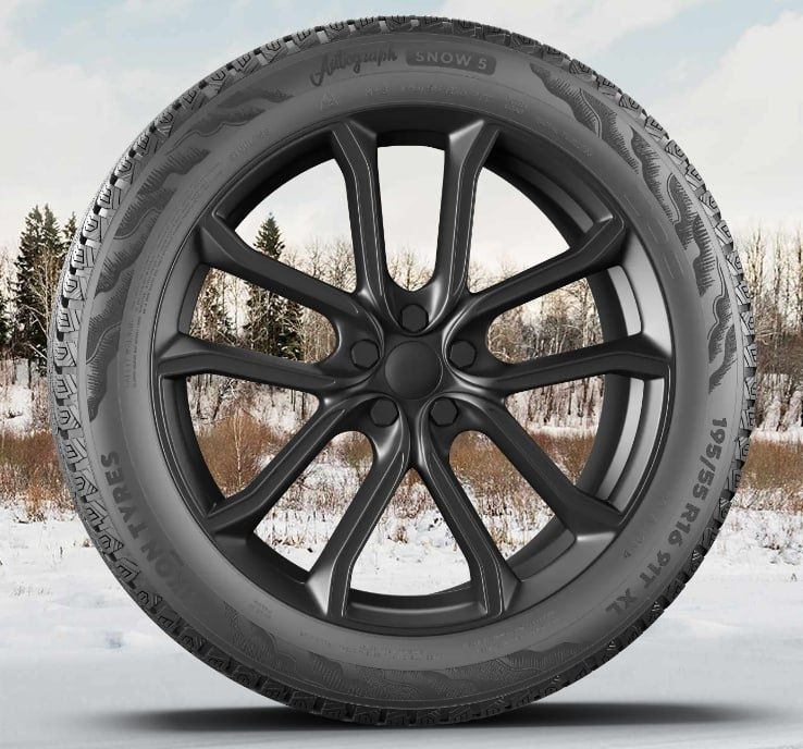 Зимние шины Ikon Tyres 215/55/17