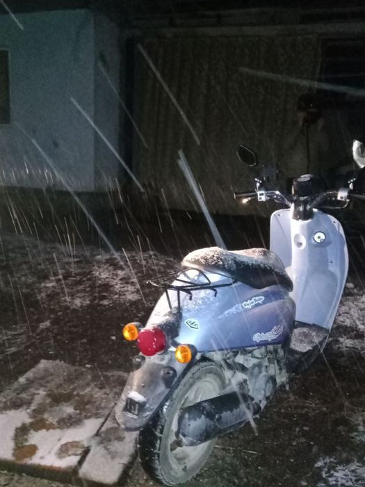 honda todey мопед