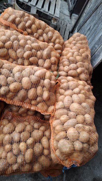 Cartofi de consum roșu și alb