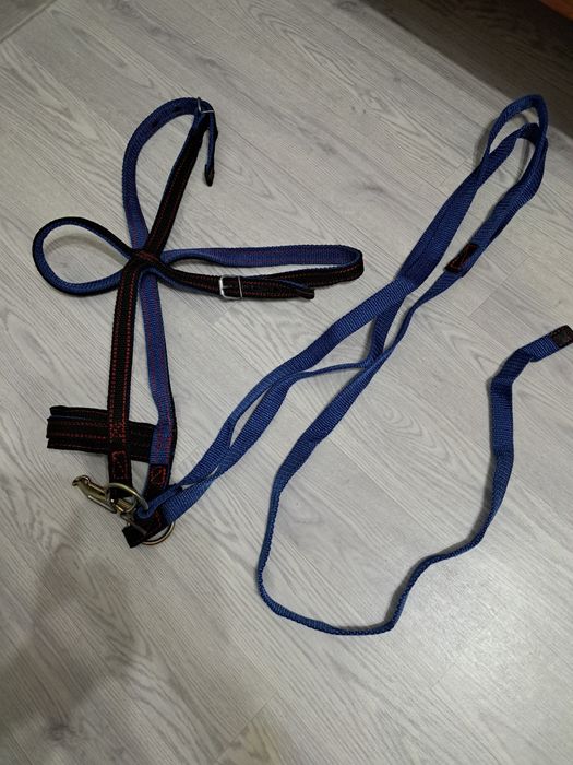 Жуген нокта сатылады