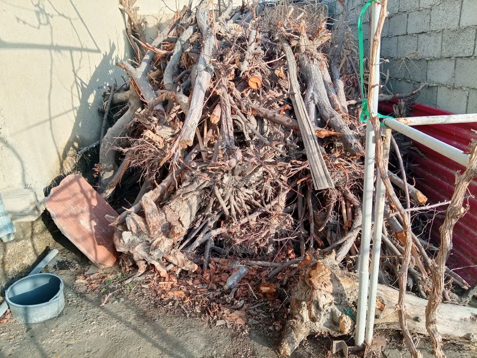 Oʻtin sotiladi srochno arzon narxda