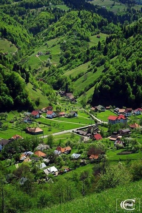 Cazare la munte Moieciu