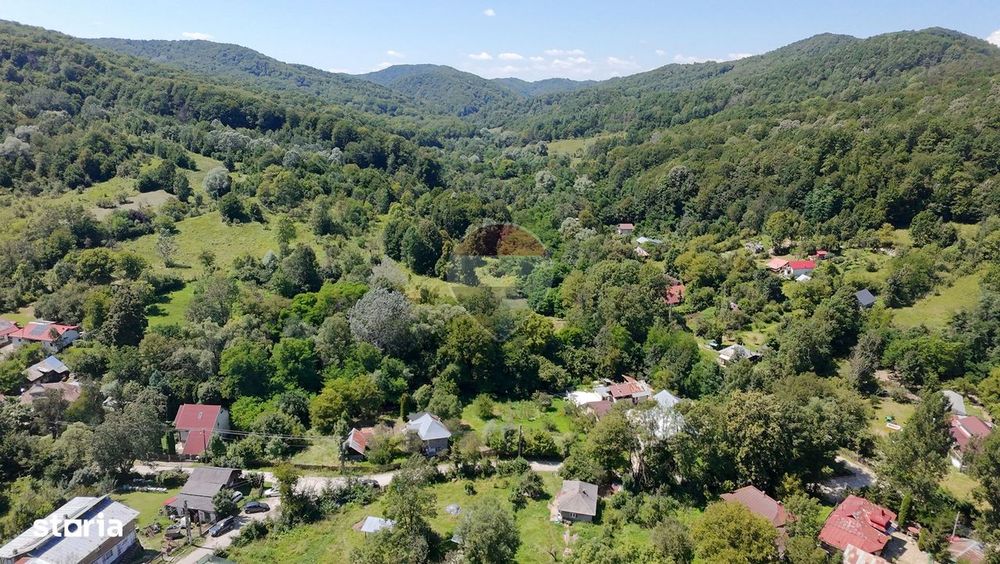 Teren Intravilan 8.277 mp Provița de Jos – Utilități, Râu & Pădure